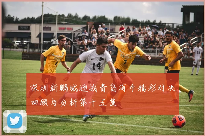 深圳新鹏城迎战青岛海牛精彩对决回顾与分析第十五集
