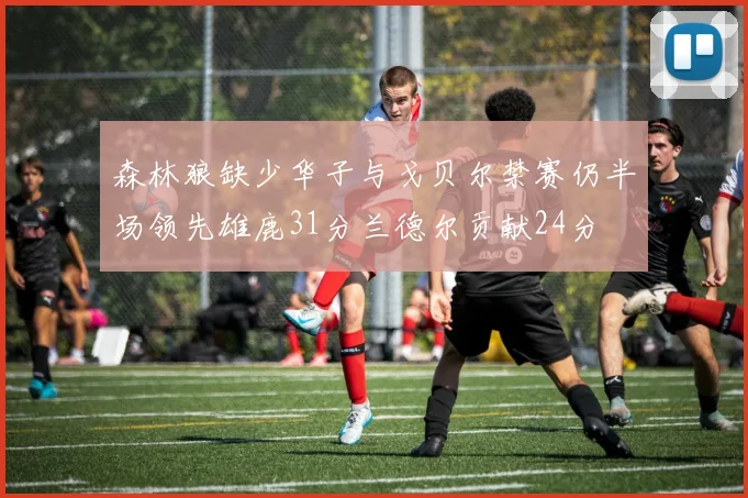 森林狼缺少华子与戈贝尔禁赛仍半场领先雄鹿31分兰德尔贡献24分
