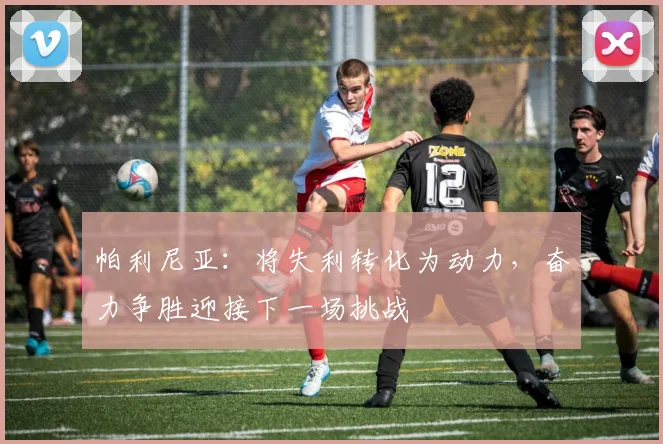 帕利尼亚：将失利转化为动力，奋力争胜迎接下一场挑战