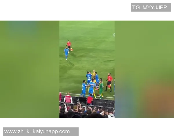 C罗与爱尔兰恩怨再起四年前挥手打人今肘击染红被罚下